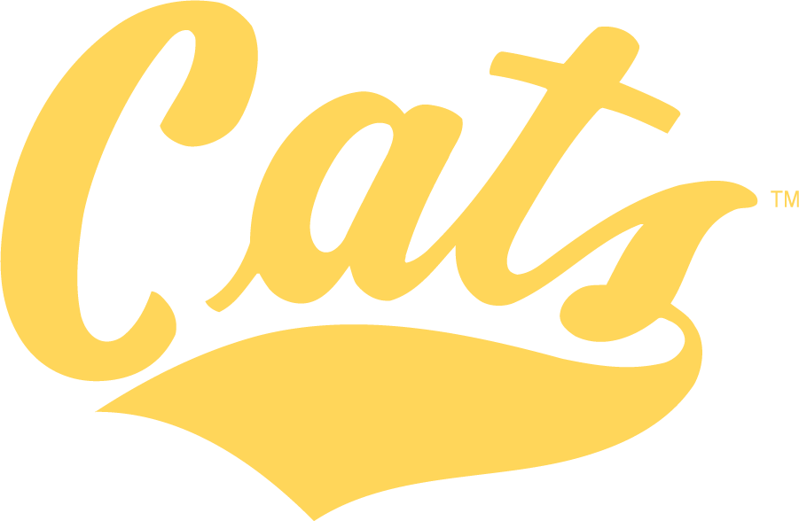 Montana State Bobcats 2004-2006 Wordmark Logo diy iron on heat transfer...